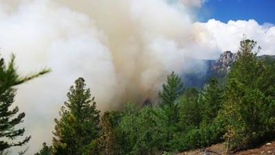 Челябинские экологи усилили мониторинг качества воздуха из-за дымки от лесных пожаров в ХМАО
