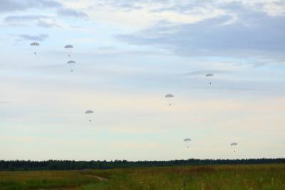 500 прыжков с парашютом выполнили под Псковом военные из Ленобласти