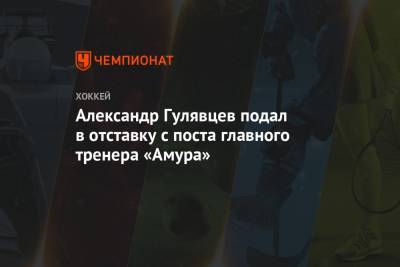 Александр Гулявцев подал в отставку с поста главного тренера «Амура»