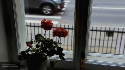Трехлетний ребенок выпал из окна квартиры в Калининграде