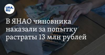 В ЯНАО чиновника наказали за попытку растраты 13 млн рублей