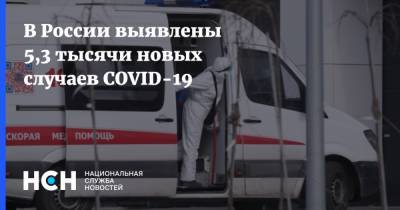 В России выявлены 5,3 тысячи новых случаев COVID-19