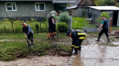 Непогода на западе Украины повалила деревья и затопила улицы