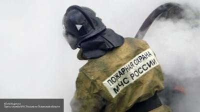 Неизвестные сожгли дорогую иномарку в центре Кемерова