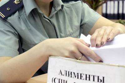 Жителю Майнского района грозит 1 год тюрьмы за неуплату алиментов - ulpravda.ru - район Майнский