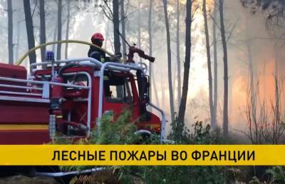 Пожары во Франции уничтожили более 500 гектаров леса