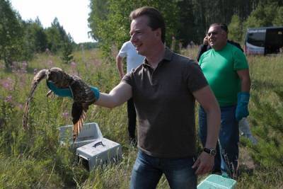 Под Челябинском выпустили на свободу диких лис и сов, спасенных волонтерами