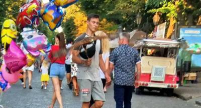 В центре Одессы мучают животных для развлечения туристов: кадры дикости