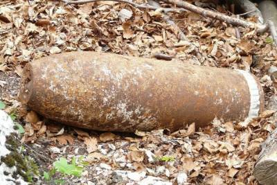В Печорской районе «черные копатели» не сообщили о найденных боеприпасах