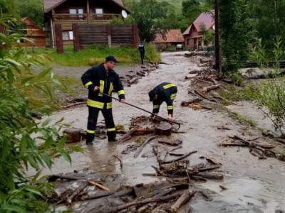 Непогода вернулась в западные регионы Украины: повалены деревья, оборваны линии электропередач