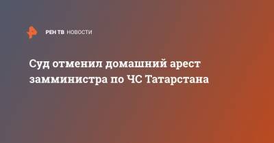 Суд отменил домашний арест замминистра по ЧС Татарстана - ren.tv - респ. Татарстан