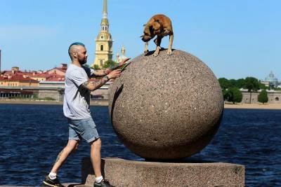 В России могут ввести обязательную регистрацию собак