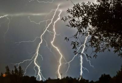 Сильный ветер, град и грозы: погода в Ленобласти на 29 июля