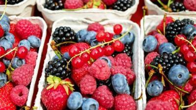 В Петербург пустили более 19 тонн свежих сербских и белорусских ягод