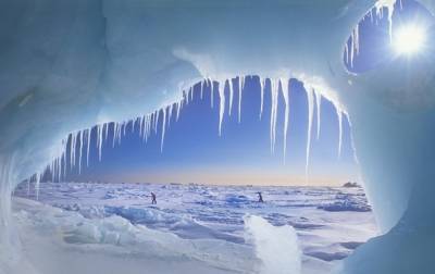 Земле грозит новый ледниковый период - ученые