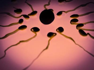 Ученые заявили, что ожирение и избыточный вес снижают качество спермы
