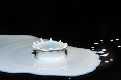 На липецких предприятиях нашли нарушения при производстве молока