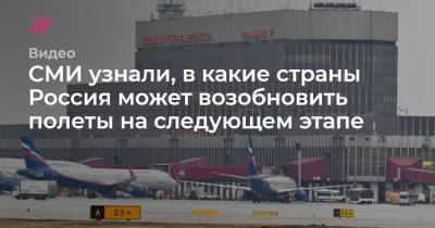 СМИ узнали, в какие страны Россия может возобновить полеты на следующем этапе