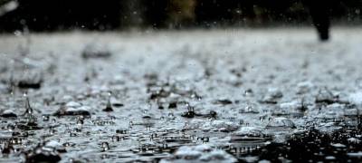 Дождливая погода ожидается в среду в Карелии