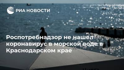 Роспотребнадзор не нашел коронавирус в морской воде в Краснодарском крае