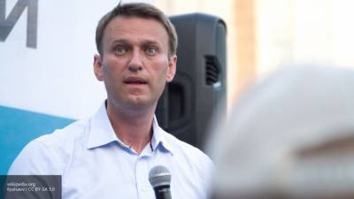 Член ОП РФ Ремесло нашел несостыковки в декларации Навального за 2019 год