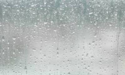В Гомеле дождем затопило... автобус — видеофакт