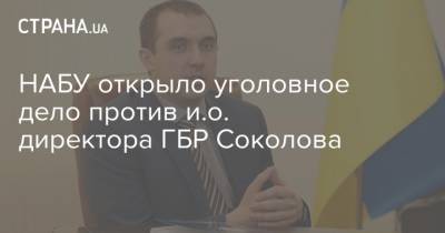 НАБУ открыло уголовное дело против и.о. директора ГБР Соколова