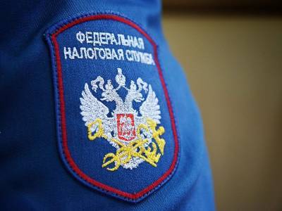 Власти Москвы заявили о росте числа «серых» организаций
