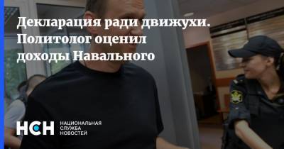 Декларация ради движухи. Политолог оценил доходы Навального