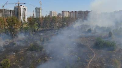 В Воронеже сгорели два гектара лесной подстилки