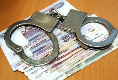 Гендиректору частного детсада в Петербурге дали условный срок за мошенничество с субсидиями на 6 миллионов рублей