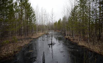 The Washington Post (США): разлив нефти в российской Арктике ставит под удар планы Москвы в отношении Крайнего Севера