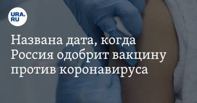 Названа дата, когда Россия одобрит вакцину против коронавируса