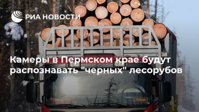 Камеры в Пермском крае будут распознавать "черных" лесорубов