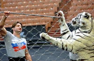 Большой Московский цирк отпраздновал День тигра