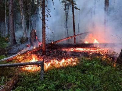 Площадь пожара в заповеднике "Денежкин камень" в Свердловской области выросла до 120 га