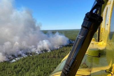 В Югре действуют 30 лесных пожаров