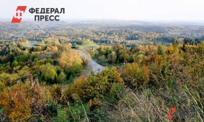 В Красноярском крае проверили больше 4 тысяч лесосек