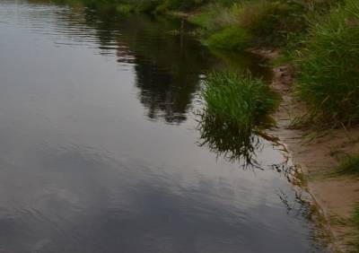 В Кораблинском районе мужчина утонул в реке