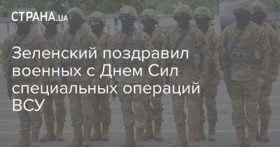 Зеленский поздравил военных с Днем Сил специальных операций ВСУ