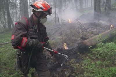 Прокуратура выяснит, когда руководство заповедника "Денежкин камень" сообщило о природном пожаре