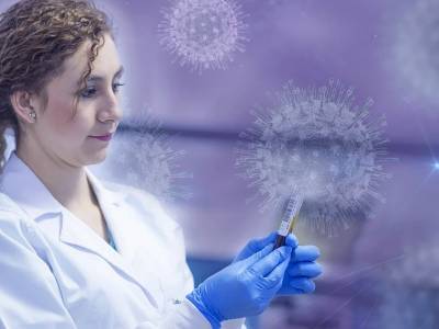 Ученые выяснили, как иммунные клетки мобилизуются для борьбы с инфекцией