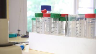 За последние сутки в Ленобласти выявили 40 новых случаев заболевания COVID-19