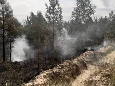 В Кузоватовском районе тушили природный пожар