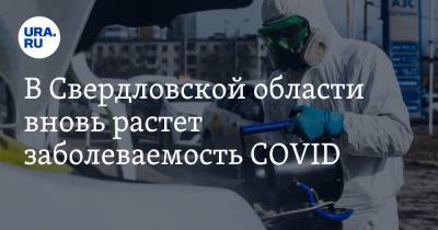 В Свердловской области вновь растет заболеваемость COVID. КАРТА очагов заражения