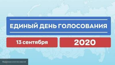 Григорьев и Брод прокомментировали предстоящий единый день голосования в РФ
