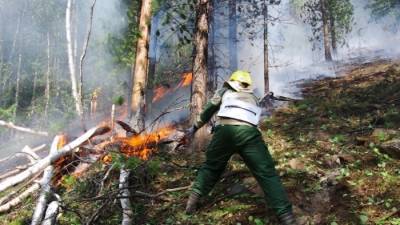 Власти Югры рассчитывают справиться с основными лесными пожарами к августу
