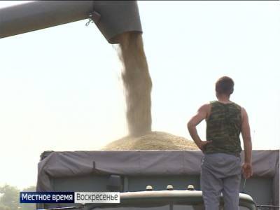 Урожай-2020: с донских полей в этом году планируют убрать более 11 млн тонн ранних зерновых