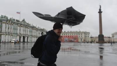Парки и скверы Петербурга закрыли из-за сильного ветра