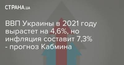 ВВП Украины в 2021 году вырастет на 4,6%, но инфляция составит 7,3% - прогноз Кабмина